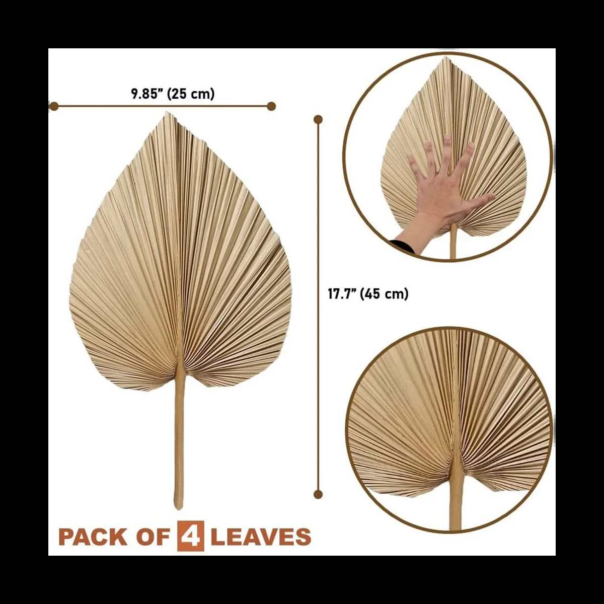 4 pc Natural Dried Palm Leaves Boho Style Home Decor