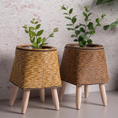 a couple of chairs and a plant in a vase 